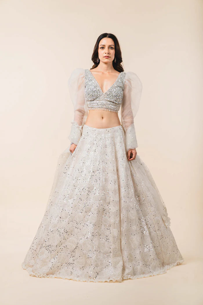 Roop lehenga by WellGroomed