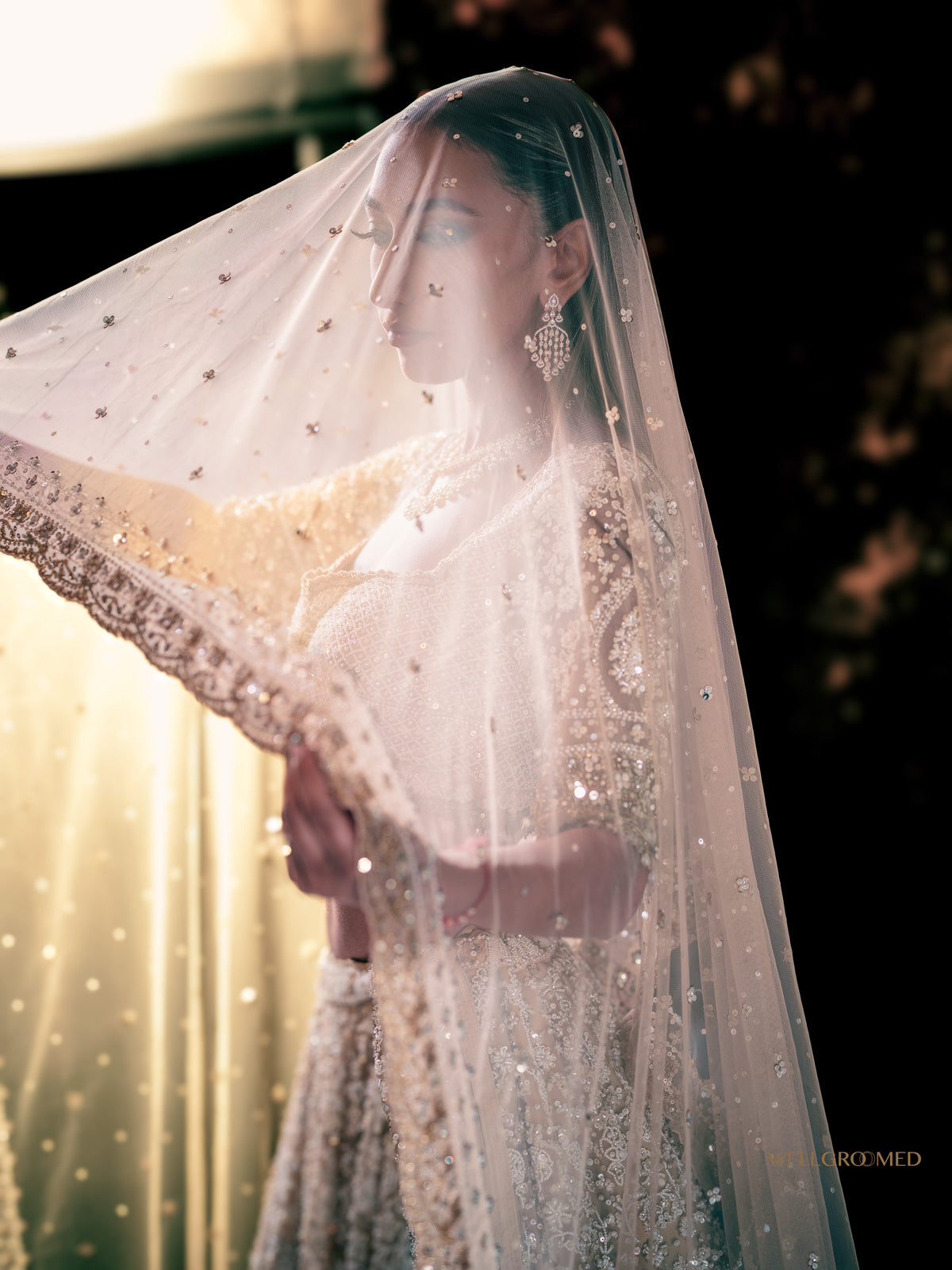 Raga lehenga by WellGroomed