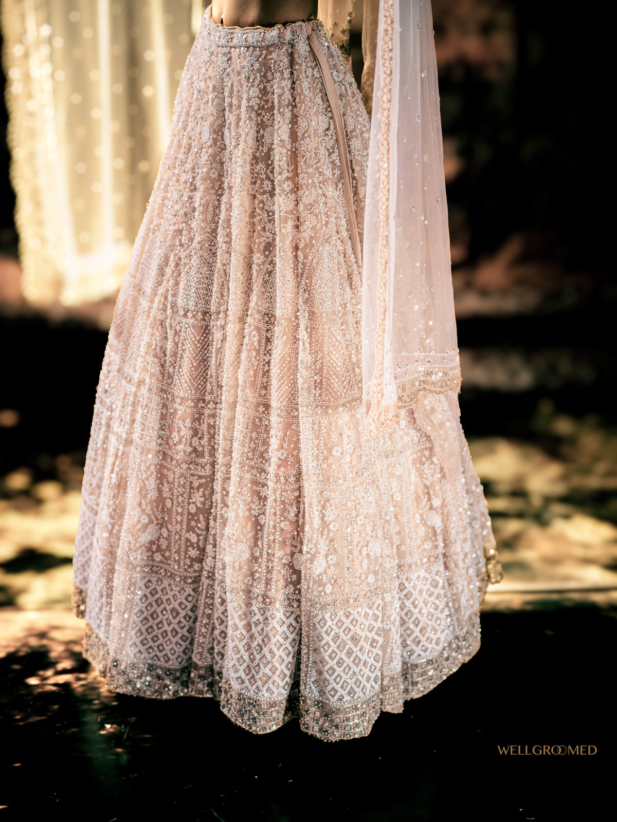 Raga lehenga by WellGroomed