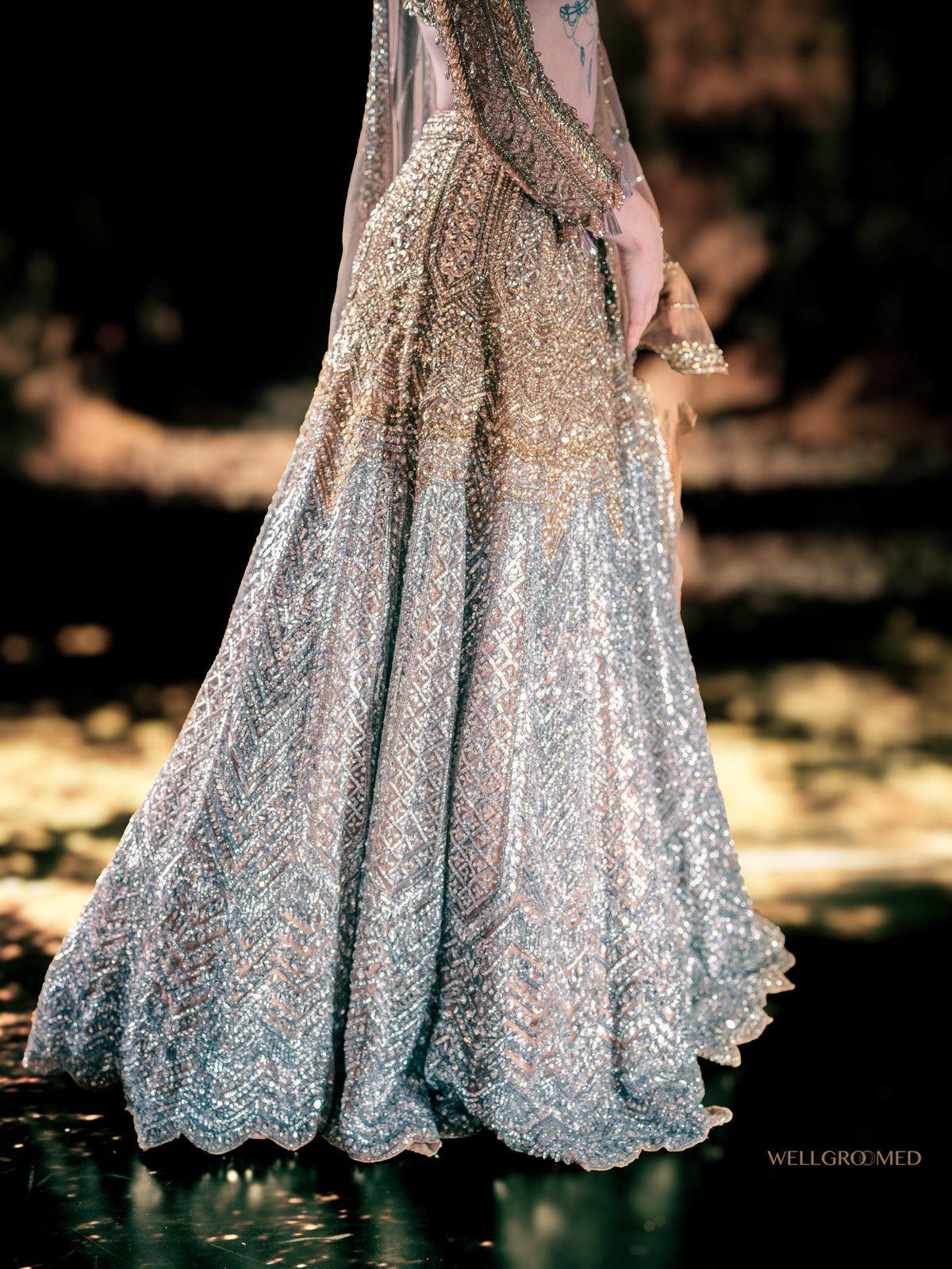 Tara lehenga by WellGroomed